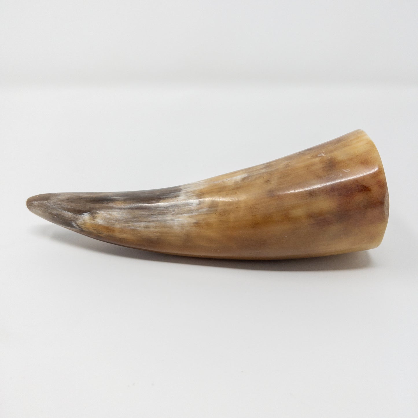 Natural Ox Horn for Fire Cupping and GuaSha
