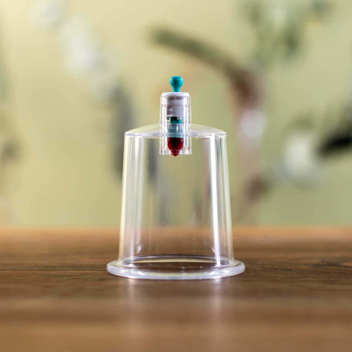cupping-cups-bestellen-4-1