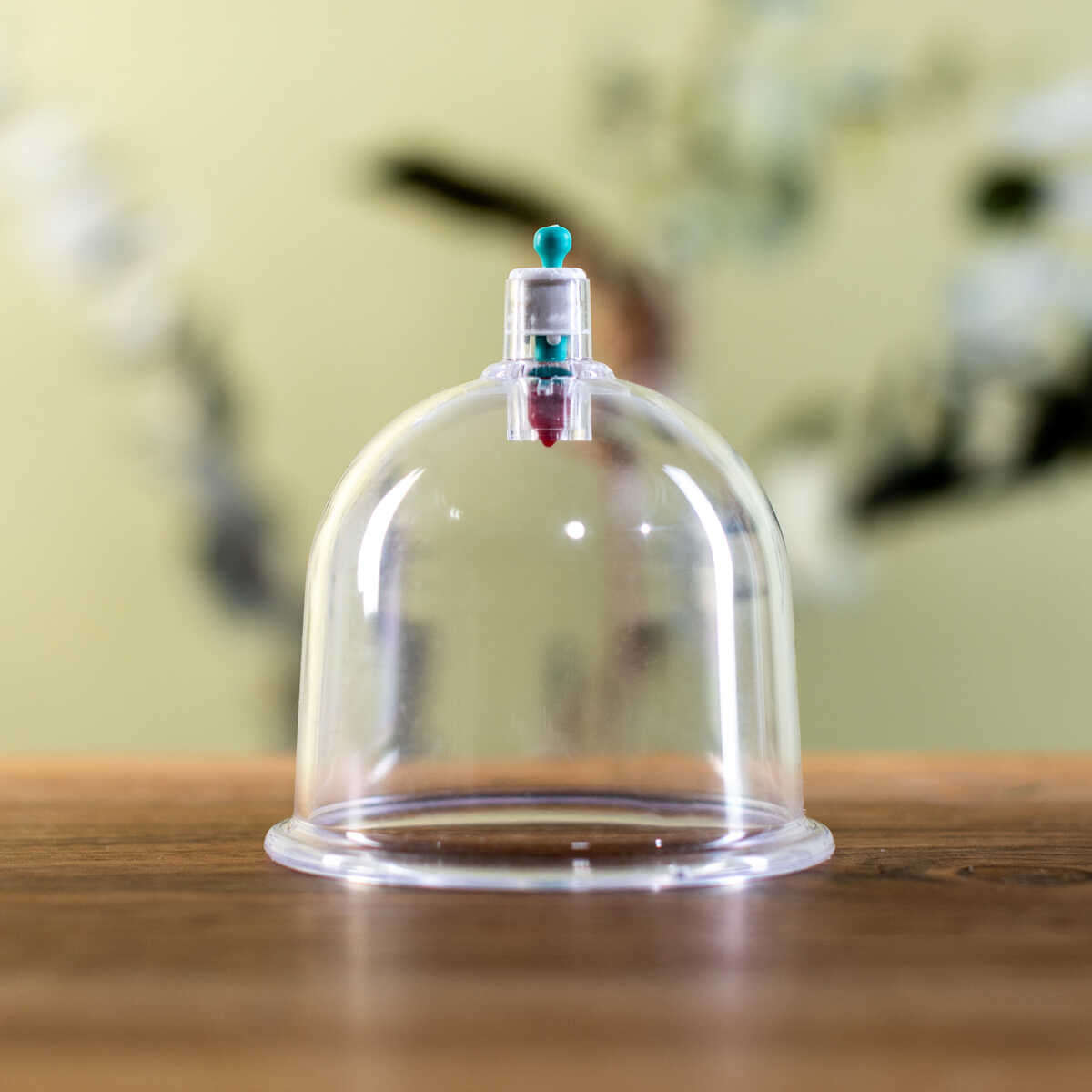 cupping-cups-bestellen-7-4