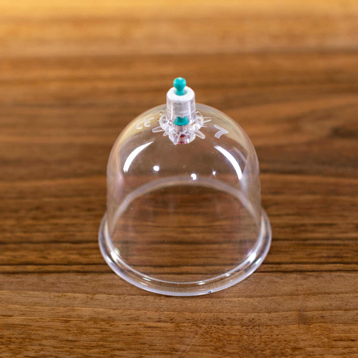 cupping-cups-bestellen-7-5