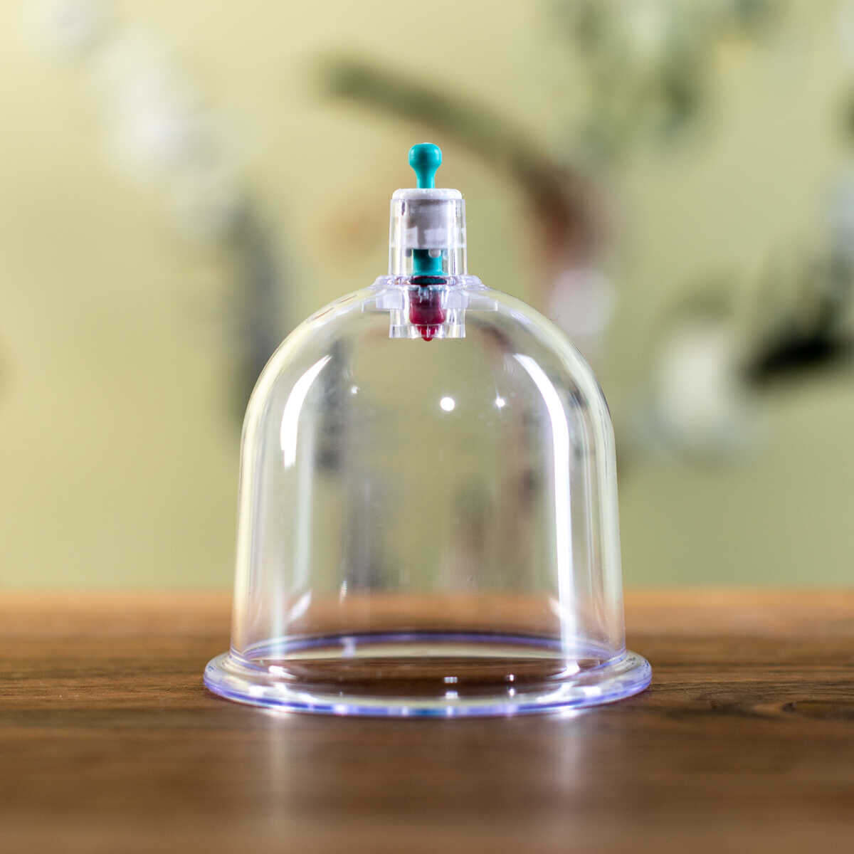 hijama cupping cups bestellen