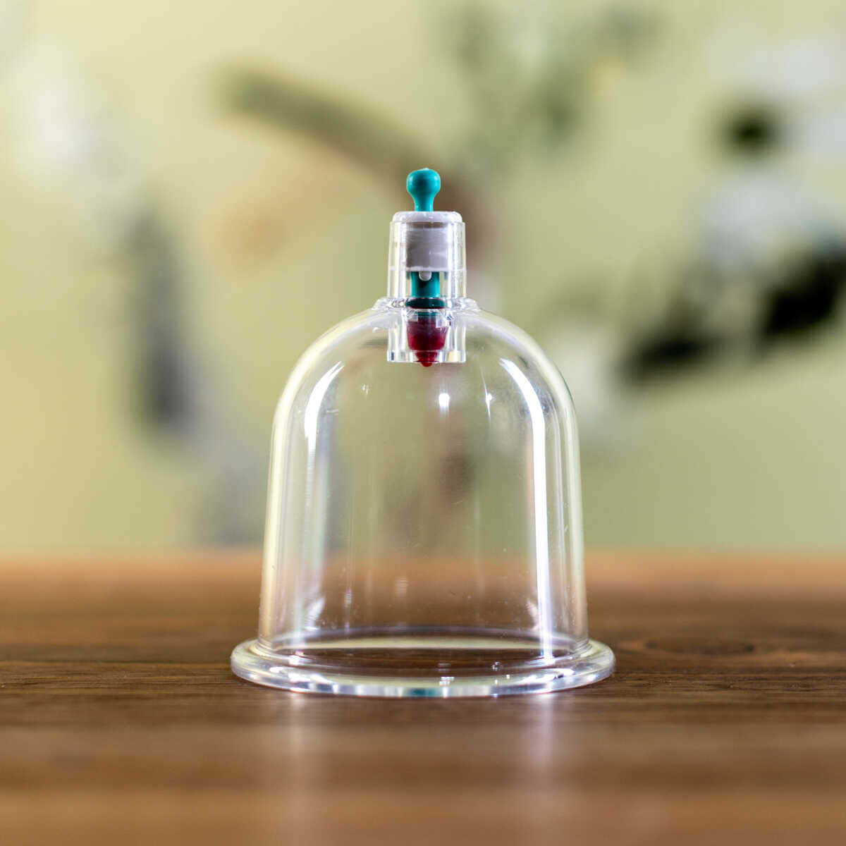 cupping-cups-bestellen-5